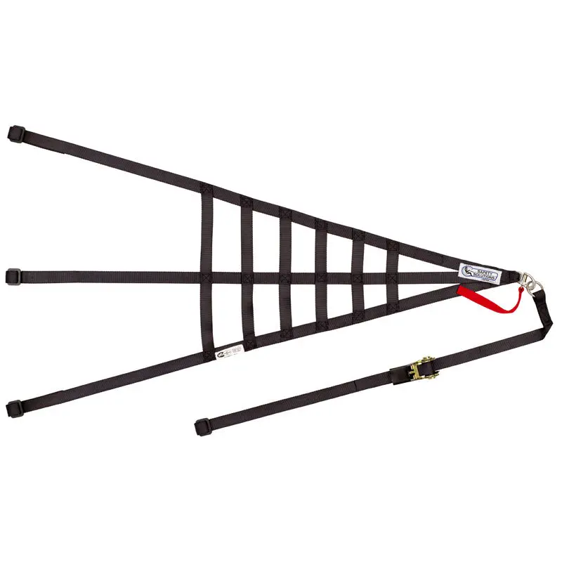 Simpson Corvette C5r Poly Driver Side Net 1